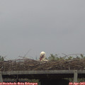 19_40-mast.jpg