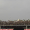 20_05-mast.jpg