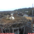 06_25-nest.jpg
