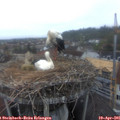 06_35-nest.jpg
