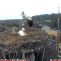 06_40-nest.jpg