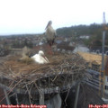 06_45-nest.jpg