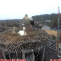 07_00-nest.jpg