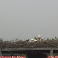 07_15-mast.jpg