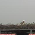 07_35-mast.jpg