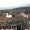 07_40-nest.jpg