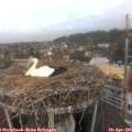 07_45-nest.jpg