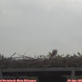 08_40-mast.jpg