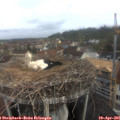 08_40-nest.jpg