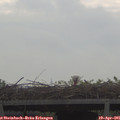 08_45-mast.jpg