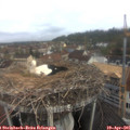 08_45-nest.jpg