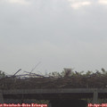 08_50-mast.jpg