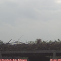 08_55-mast.jpg