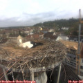 08_55-nest.jpg