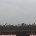09_00-mast.jpg