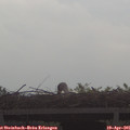 09_05-mast.jpg