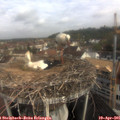 09_10-nest.jpg