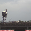09_25-mast.jpg