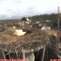 09_25-nest.jpg