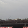 09_30-mast.jpg