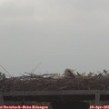 09_35-mast.jpg