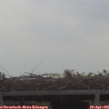 09_40-mast.jpg