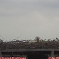 09_45-mast.jpg