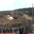 09_45-nest.jpg