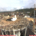 10_15-nest.jpg