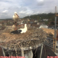 10_35-nest.jpg