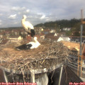 10_45-nest.jpg