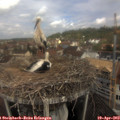 10_55-nest.jpg