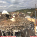 12_25-nest.jpg