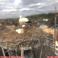 12_30-nest.jpg