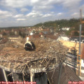 12_55-nest.jpg