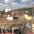 13_15-nest.jpg
