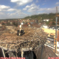 13_30-nest.jpg