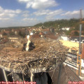 13_35-nest.jpg