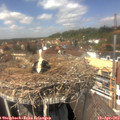 13_40-nest.jpg