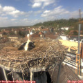13_45-nest.jpg