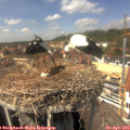 14_10-nest.jpg