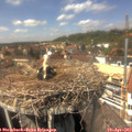 14_15-nest.jpg