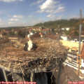 14_30-nest.jpg