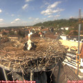 14_40-nest.jpg