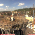 14_45-nest.jpg
