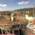 14_55-nest.jpg