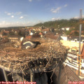 15_05-nest.jpg