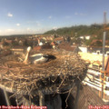 15_20-nest.jpg