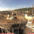 15_40-nest.jpg