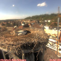 15_55-nest.jpg